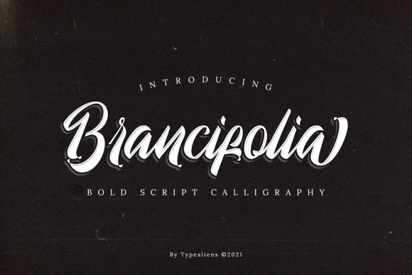 Brancifolia Font for Editorial Design