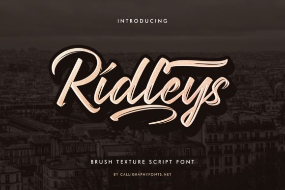Ridleys Font for Creative Brands